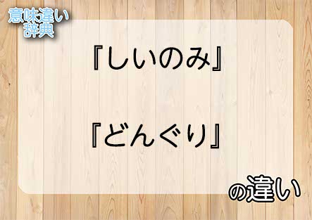 『しいのみ』と『どんぐり』の意味の違いは？例文と使い方を解説