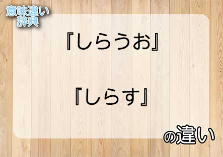 『しらうお』と『しらす』の意味の違いは？例文と使い方を解説