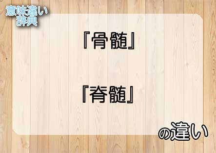 『骨髄』と『脊髄』の意味の違いは？例文と使い方を解説