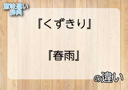 『くずきり』と『春雨』の意味の違いは？例文と使い方を解説