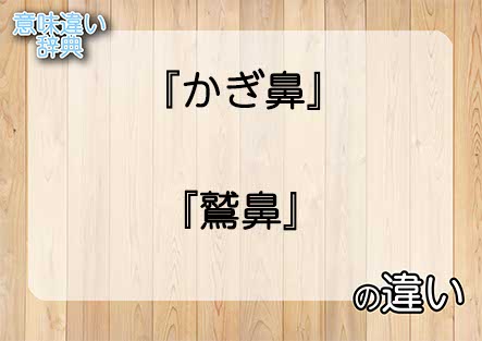 『かぎ鼻』と『鷲鼻』の意味の違いは？例文と使い方を解説