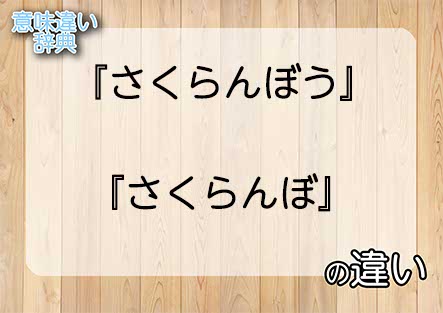 『さくらんぼう』と『さくらんぼ』の意味の違いは？例文と使い方を解説