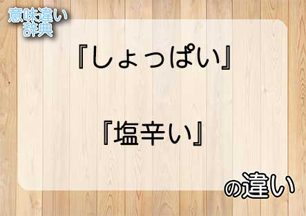 『しょっぱい』と『塩辛い』の意味の違いは？例文と使い方を解説