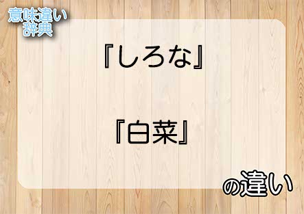 『しろな』と『白菜』の意味の違いは？例文と使い方を解説