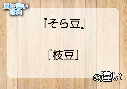 『そら豆』と『枝豆』の意味の違いは？例文と使い方を解説