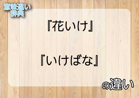 『花いけ』と『いけばな』の意味の違いは？例文と使い方を解説