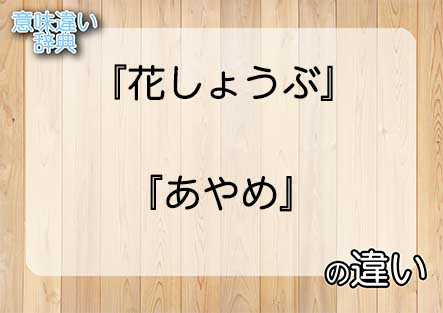 『花しょうぶ』と『あやめ』の意味の違いは？例文と使い方を解説