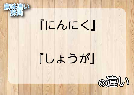 『にんにく』と『しょうが』の意味の違いは？例文と使い方を解説