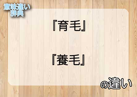 『育毛』と『養毛』の意味の違いは？例文と使い方を解説